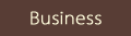 Business Introduction